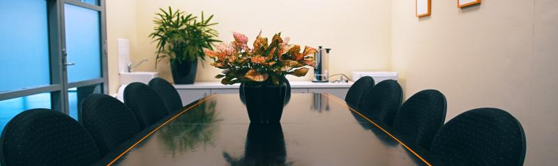 Banner image - test